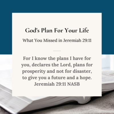 What You Missed–God’s Plan for Your Life