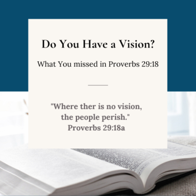 What You Missed–Do You have a Vision?