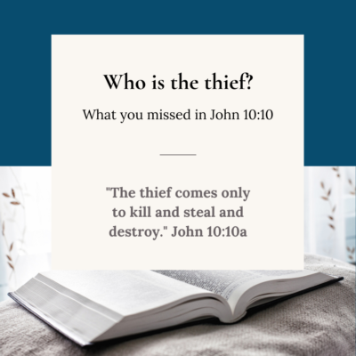 What You Missed-“The thief came to kill, steal, and destroy”