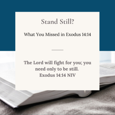 What You Missed–Stand Still?